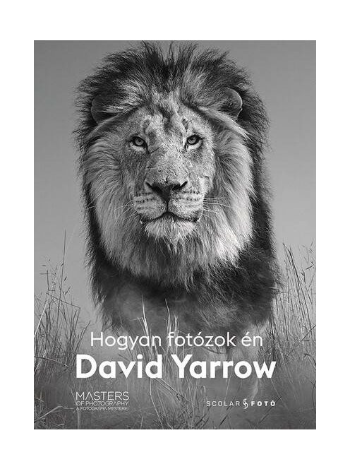 Hogyan fotózok én - David Yarrow - A fotográfia mesterei