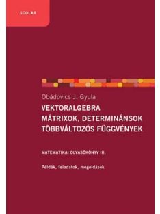   Vektoralgebra, mátrixok, determinánsok, többváltozós függvények /Matematika olvasókönyv III.