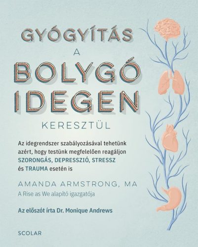 Gyógyítás a bolygóidegen keresztül - Az idegrendszer szabályozásával tehetünk azért, hogy testünk megfelelően reagáljon - Természetes gyógymódok egészségtudatos életmódhoz kapcsolódó könyvek