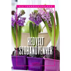 Kedvelt szobanövények - Kis természetkalauz