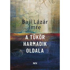   A tükör harmadik oldala - Irodalmi és művészeti írások