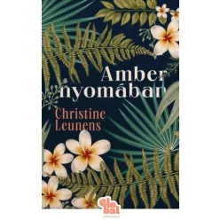Amber nyomában - Globál - Romantikus  témájú könyvek és olvasmányok