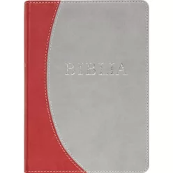   Biblia /Revideált, új fordítású - középméretű /narancs-szürke