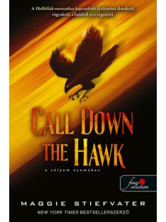   Call Down the Hawk - A sólyom nyomában - Álmodok-trilógia 1.