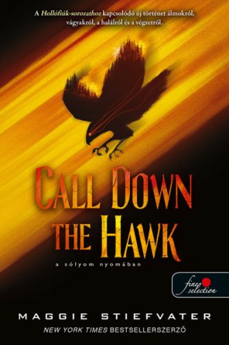 Call Down the Hawk - A sólyom nyomában - Álmodok-trilógia 1. - Fantasy  témájú könyvek és olvasmányok