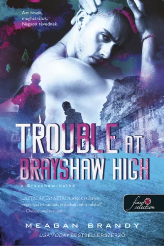 Trouble at Brayshaw - A Brayshaw Balhé - A banda 2. - Romantikus  témájú könyvek és olvasmányok