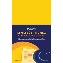 Elmélyült munka a gyakorlatban - Időblokkos tervező a hatékonyságnövelésért - Gazdaság  témájú könyvek és olvasmányok