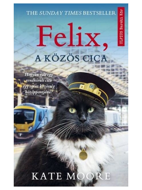 Felix, a közös cica