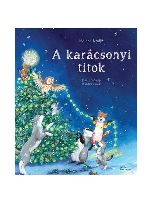 A karácsonyi titok §K