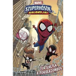   Marvel szuperhősök kalandjai 1. - Történetek a Pókverzumból (képregény)