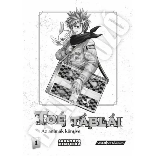 Toé táblái 1. - Az animák könyve (képregény) - Fantasy  témájú könyvek és olvasmányok