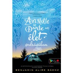 Aristotle és Dante az élet sodrásában - Aristotle és Dante 2. - Szórakoztató Irodalom  témájú könyvek és olvasmányok