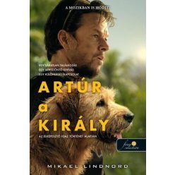 Artúr a király (filmes borító) - Szórakoztató Irodalom  témájú könyvek és olvasmányok