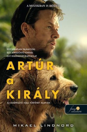 Artúr a király (filmes borító) - Szórakoztató Irodalom  témájú könyvek és olvasmányok