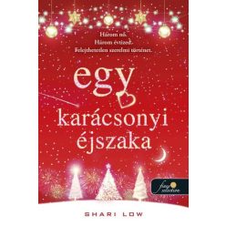 Egy karácsonyi éjszaka §K - Szórakoztató Irodalom  témájú könyvek és olvasmányok