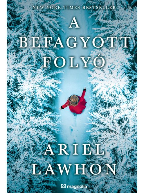 A befagyott folyó