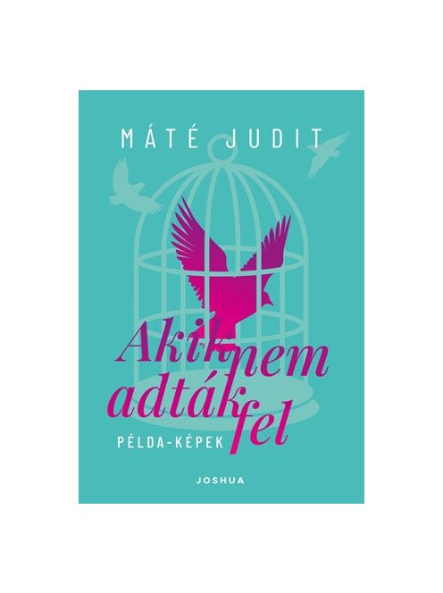Akik nem adták fel - Példa-képek - Portrékönyv
