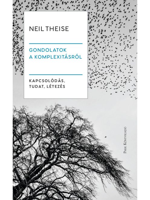 Gondolatok a komplexitásról - Kapcsolódás, tudat, létezés