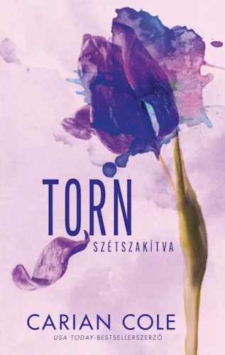 Torn - Szétszakítva (éldekorált) - Romantikus  témájú könyvek és olvasmányok