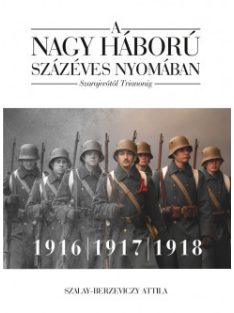   A nagy háború százéves nyomában - Szarajevótól Trianonig - 2. kötet: 1916-1917-1918