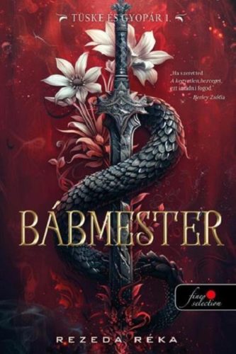 Bábmester - Szórakoztató Irodalom  témájú könyvek és olvasmányok