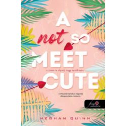 A Not So Meet Cute - A (nem is olyan) nagy találkozás