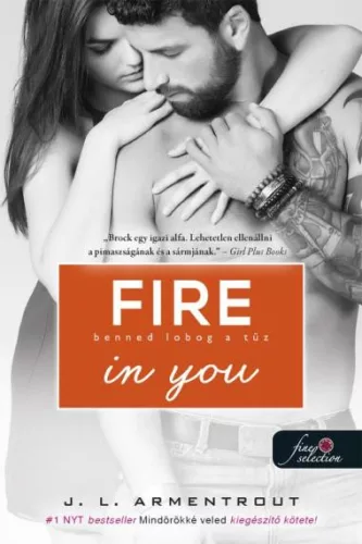 Fire In You - Benned lobog a tűz - Szórakoztató Irodalom  témájú könyvek és olvasmányok