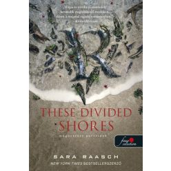 These Divided Shores - Megosztott partvidék - Szórakoztató Irodalom  témájú könyvek és olvasmányok