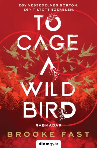 To Cage a Wild Bird - Rabmadár - Fantasy  témájú könyvek és olvasmányok