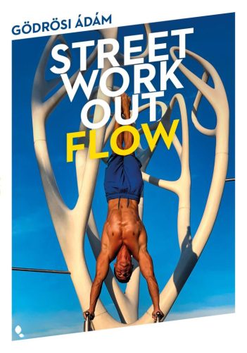 Street workout flow - Sport  témájú könyvek és olvasmányok