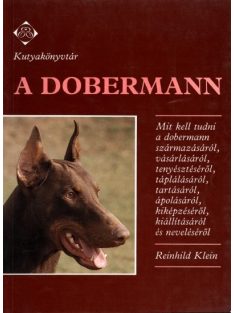 A Dobermann