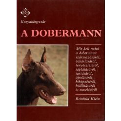 A Dobermann