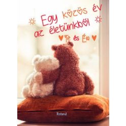 Te és Én - Egy közös év az életünkből (macis borító) - Kreativitás  témájú könyvek és olvasmányok